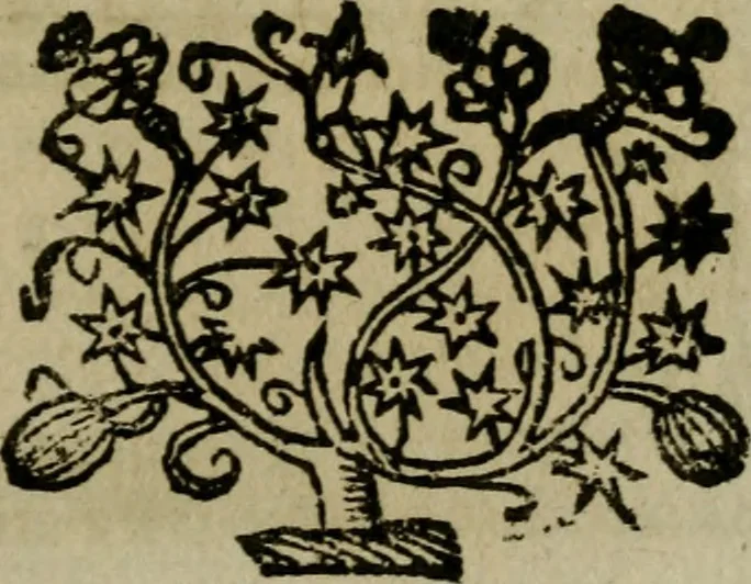An illustration from Ritratto di Roma moderna, 1638, leaf 388