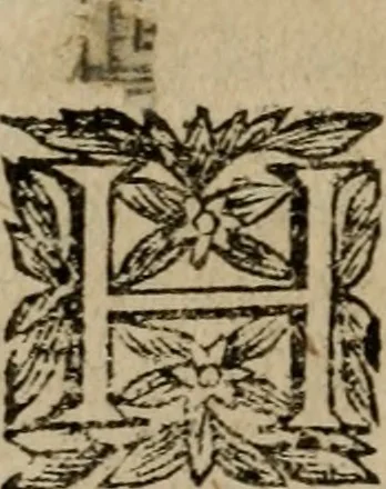 An illustration from Ritratto di Roma moderna, 1638, leaf 407