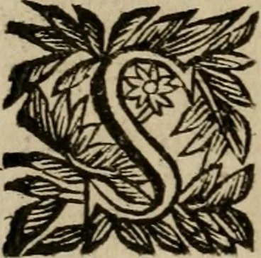 An illustration from Ritratto di Roma moderna, 1638, leaf 429