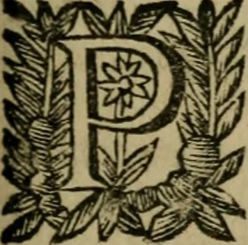 An illustration from Ritratto di Roma moderna, 1638, leaf 460