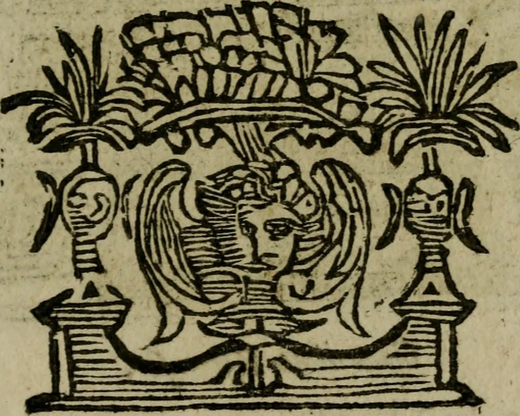 An illustration from Ritratto di Roma moderna, 1638, leaf 552
