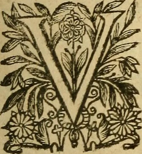 An illustration from Rituale Romanum Pauli V. Pont. Max. iussu editum, 1623, leaf 14