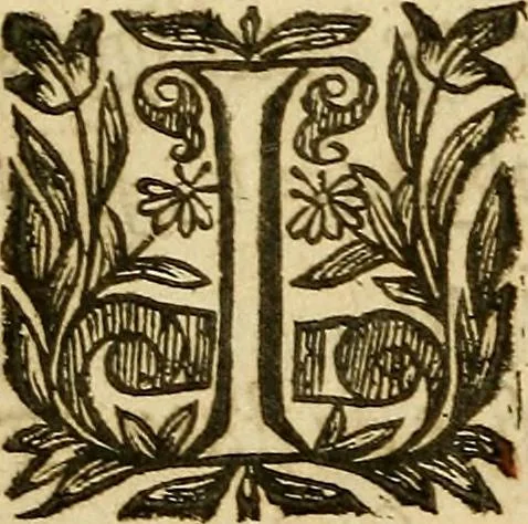 An illustration from Rituale Romanum Pauli V. Pont. Max. iussu editum, 1623, leaf 45