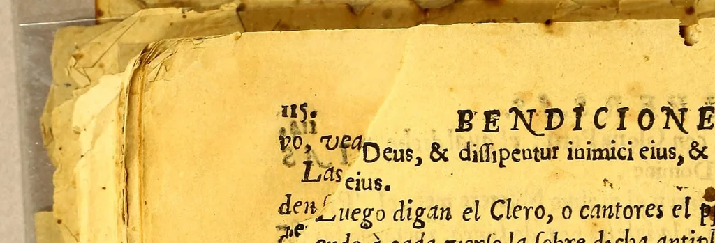An illustration from Ritual para administrar los sanctos sacramentos sacado casi todo del Ritual romano, i lo de mas del Ritual indico. : Con algunas advertencias necessarias para la administracion de los santos sacramentos. Con una declaracion sumaria de lo que las religiones mendicantes pueden en las Indias por privilegios apostolicos, los quales se train a la letra., 1630, leaf 140