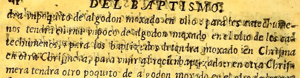 An illustration from Ritual para administrar los sanctos sacramentos sacado casi todo del Ritual romano, i lo de mas del Ritual indico. : Con algunas advertencias necessarias para la administracion de los santos sacramentos. Con una declaracion sumaria de lo que las religiones mendicantes pueden en las Indias por privilegios apostolicos, los quales se train a la letra., 1630, leaf 28