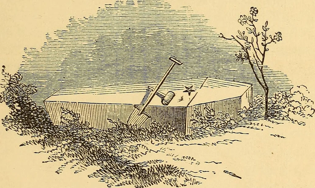 An illustration from Rituals of freemasonry: comprising the degrees of Entered apprentice, Fellow craft, and Master mason, in the lodge;, 1870, leaf 168