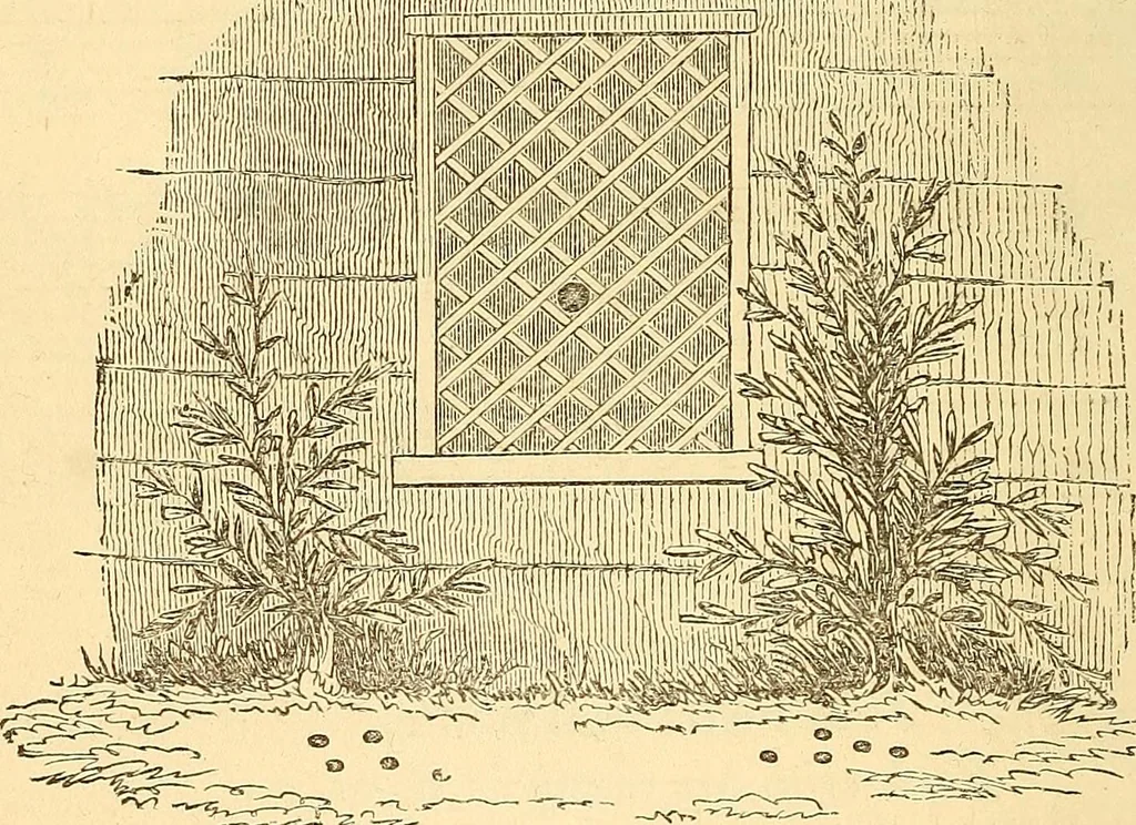 An illustration from Rituals of freemasonry: comprising the degrees of Entered apprentice, Fellow craft, and Master mason, in the lodge;, 1870, leaf 463