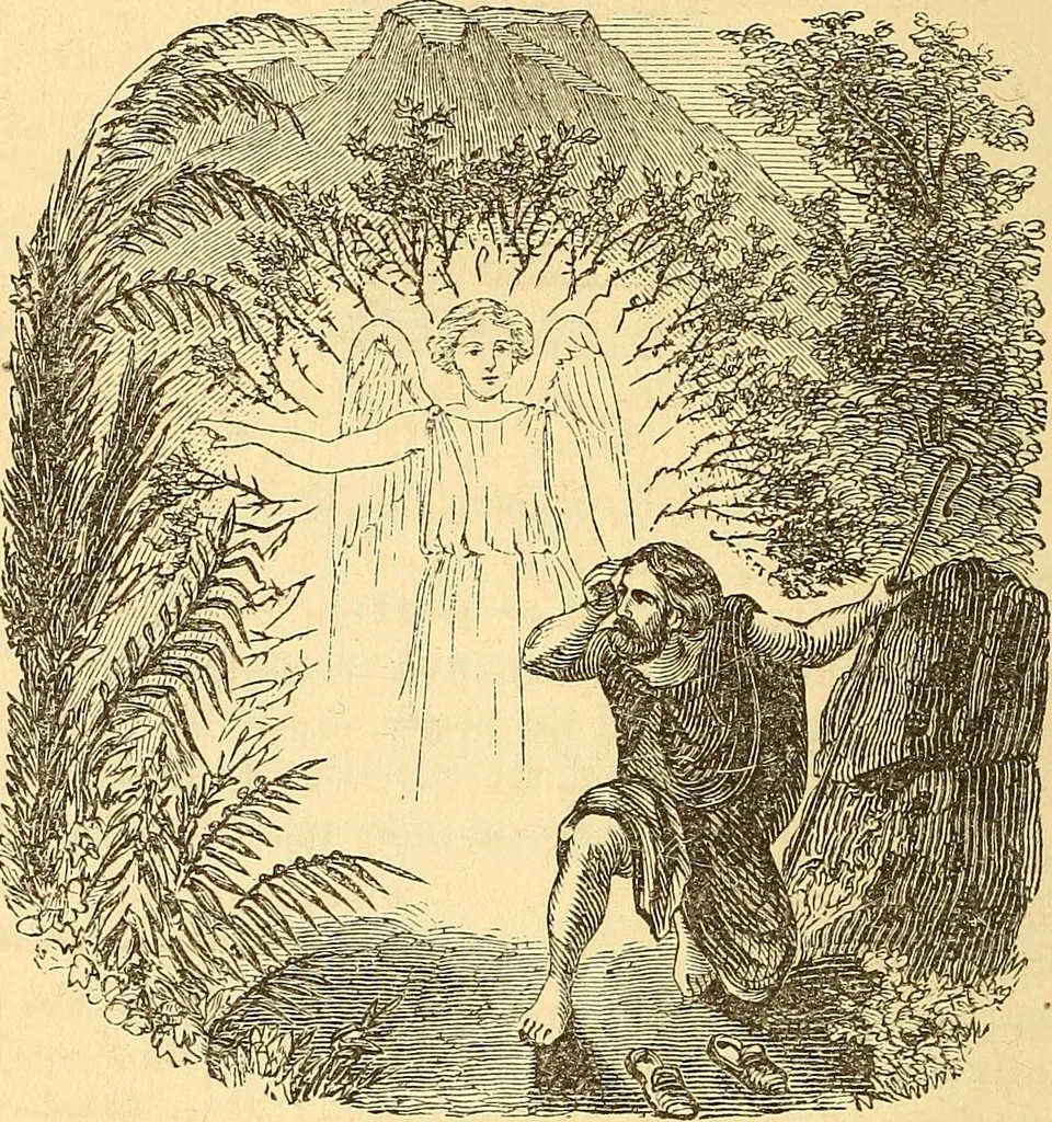 An illustration from Rituals of freemasonry: comprising the degrees of Entered apprentice, Fellow craft, and Master mason, in the lodge;, 1870, leaf 533