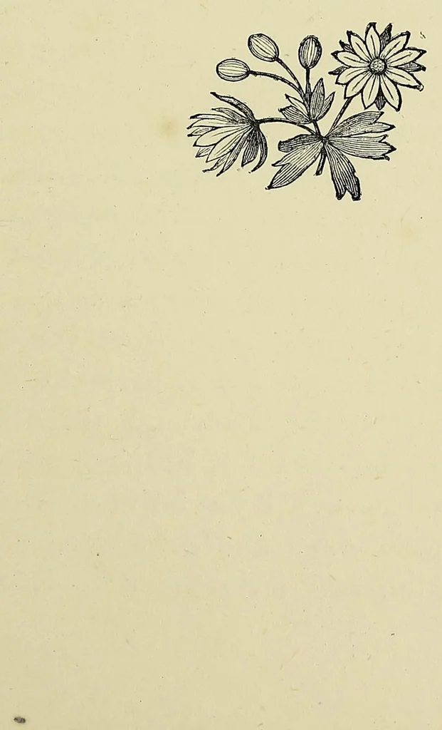 An illustration from Rivers of water in a dry place, or, From Africaner's kraal to Khama's city, 1885, leaf 123