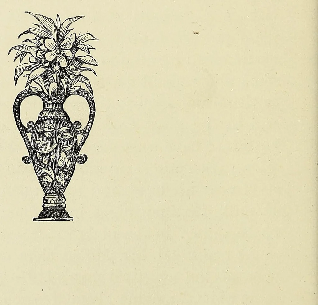An illustration from Rivers of water in a dry place, or, From Africaner's kraal to Khama's city, 1885, leaf 38