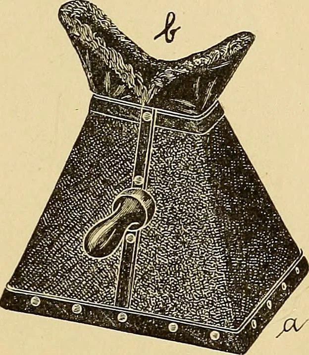 An illustration from Röntgenphotographie : Anleitung zu leicht auszuführenden Arbeiten mit statischer und galvanischer Elektrizität unter besonderer Berücksichtigung der Influenz-Elektrisiermaschine, 1908, leaf 46