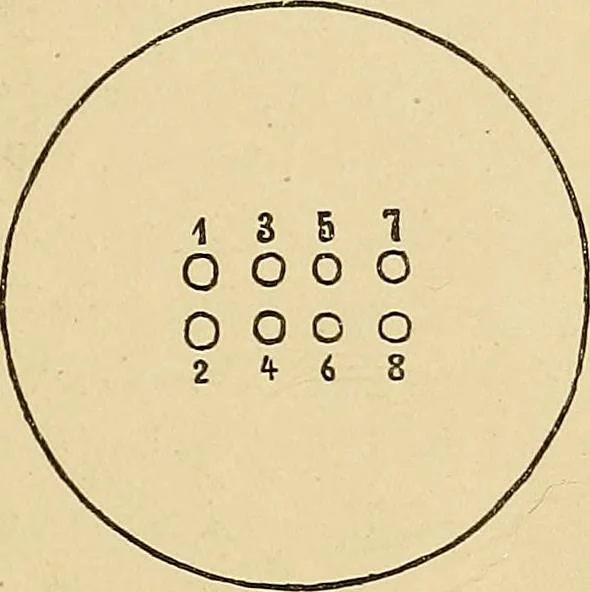 An illustration from Röntgenphotographie : Anleitung zu leicht auszuführenden Arbeiten mit statischer und galvanischer Elektrizität unter besonderer Berücksichtigung der Influenz-Elektrisiermaschine, 1908, leaf 50