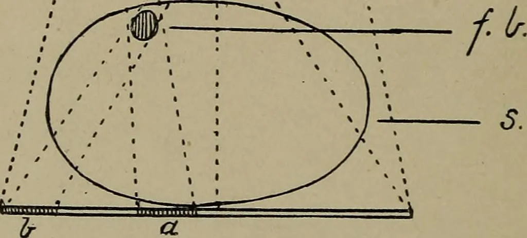 An illustration from The Röntgen rays in medical work, 1899, leaf 105