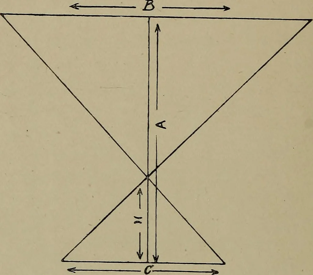 An illustration from The Röntgen rays in medical work, 1899, leaf 109