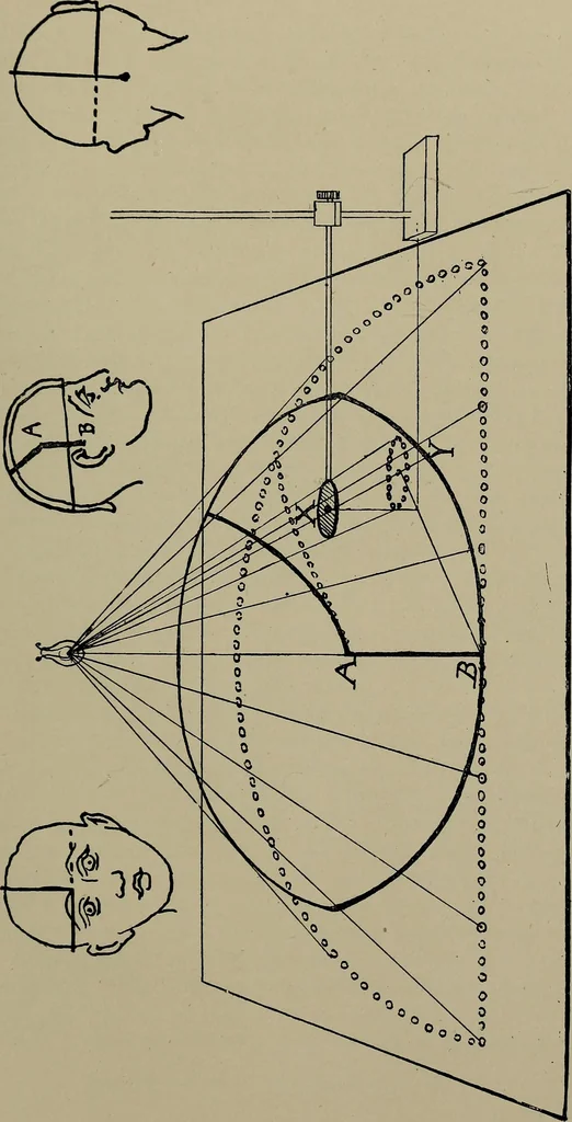 An illustration from The Röntgen rays in medical work, 1899, leaf 116