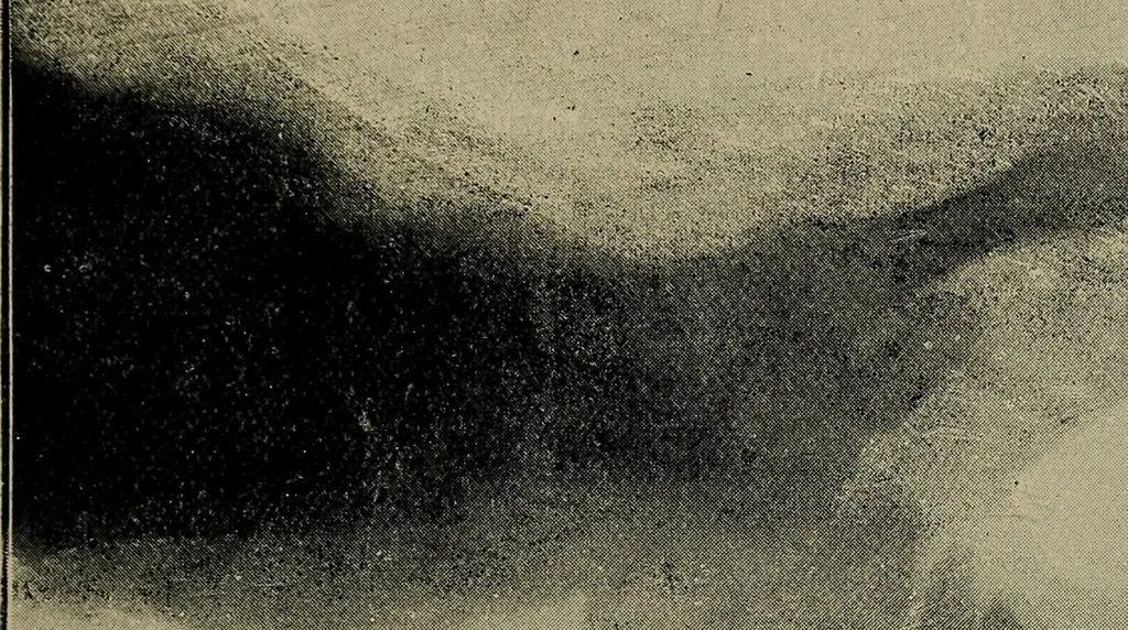 An illustration from The Röntgen rays in medical work, 1899, leaf 212