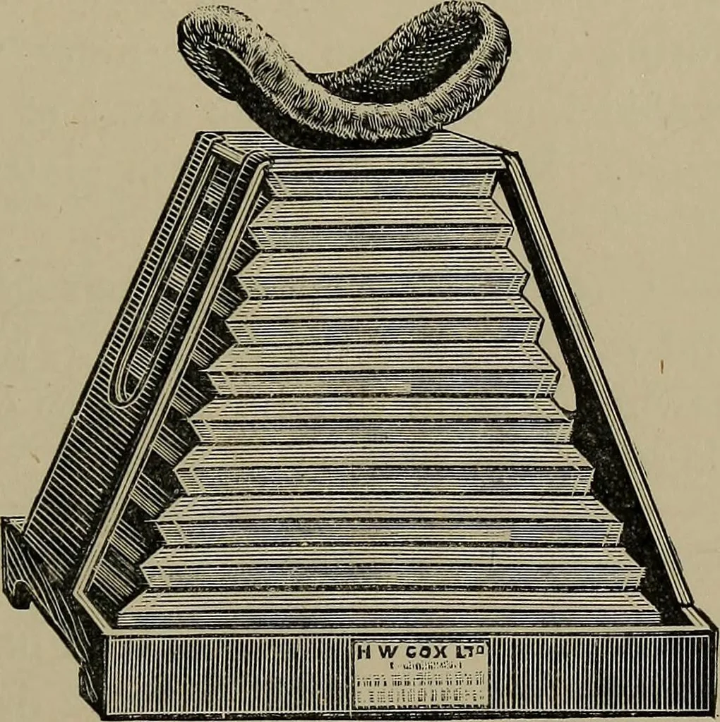 An illustration from The Röntgen rays in medical work, 1899, leaf 54
