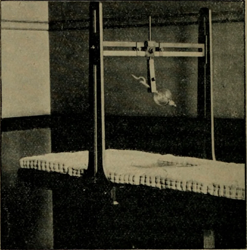 An illustration from The Röntgen rays in medical work, 1899, leaf 75