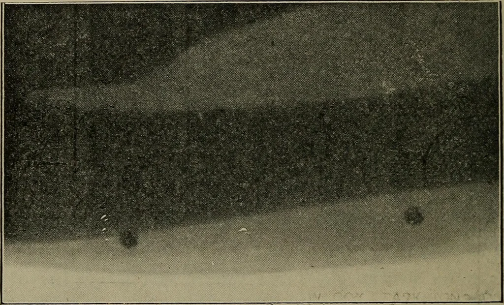 An illustration from The Röntgen rays in medical work, 1899, leaf 99
