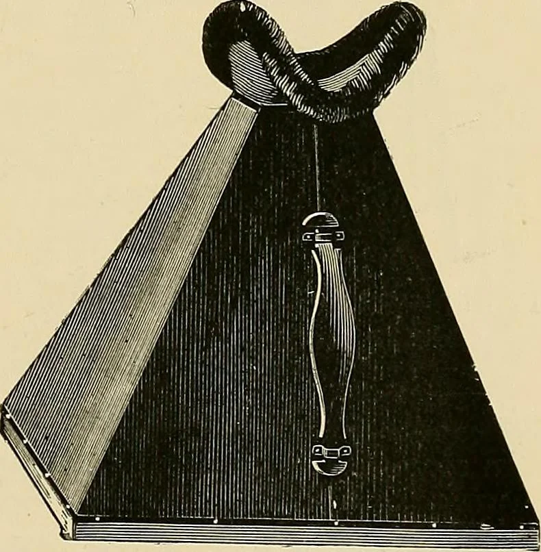 An illustration from The Röntgen rays in medical work, 1907, leaf 106