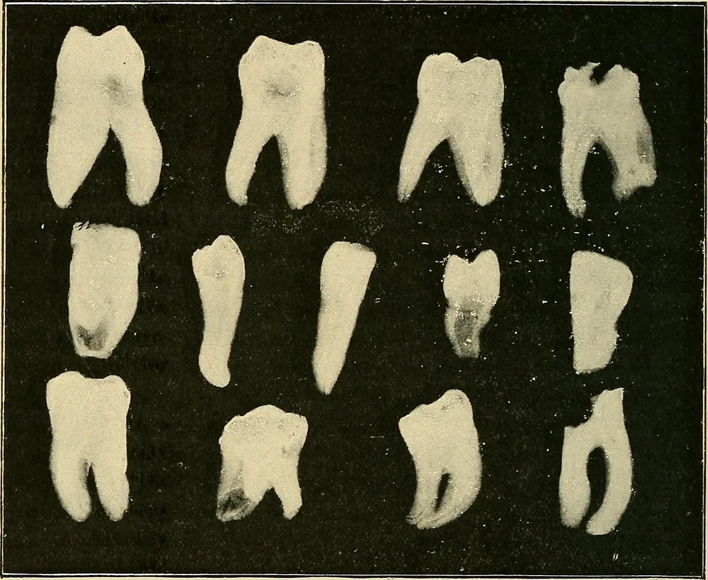 An illustration from The Röntgen rays in medical work, 1907, leaf 333