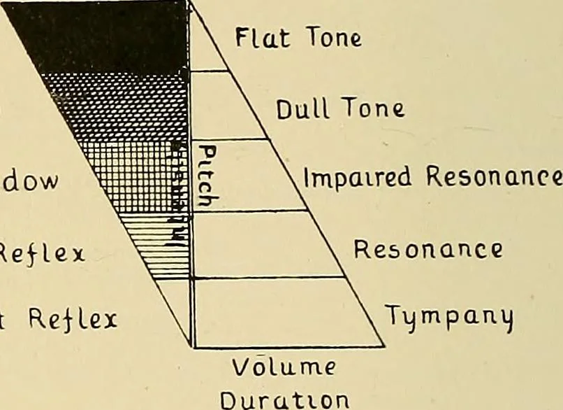 An illustration from The Röntgen rays in medical work, 1907, leaf 369