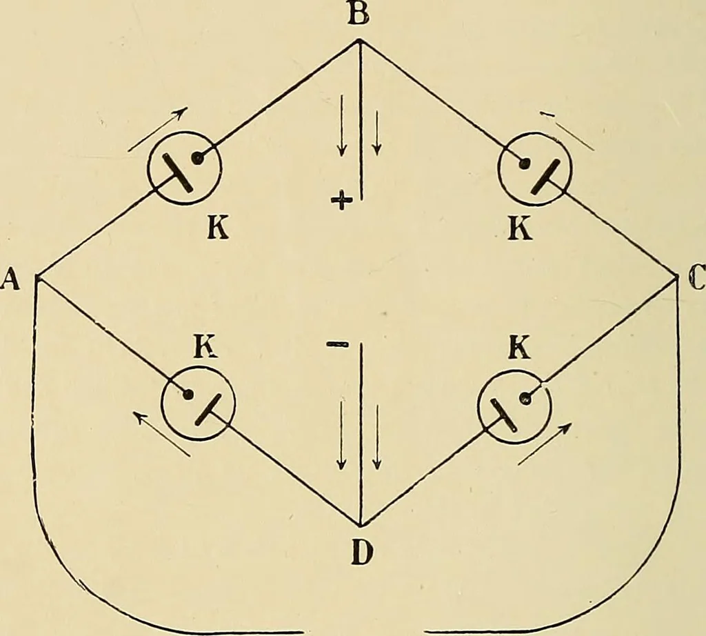 An illustration from The Röntgen rays in medical work, 1907, leaf 87