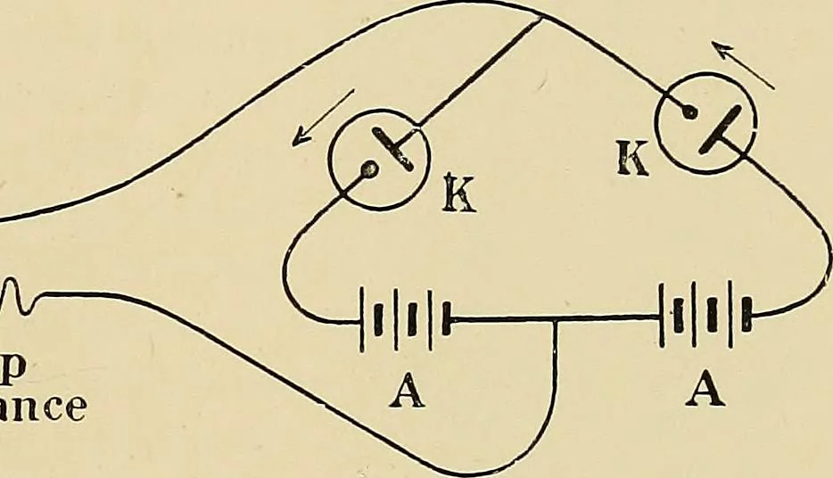 An illustration from The Röntgen rays in medical work, 1907, leaf 88