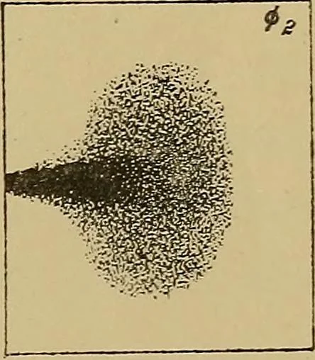 An illustration from Røntgens Straaler : en Fremstilling af de elektriske Straalefaenomener, 1896, leaf 56