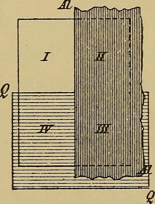 An illustration from Røntgens Straaler : en Fremstilling af de elektriske Straalefaenomener, 1896, leaf 60