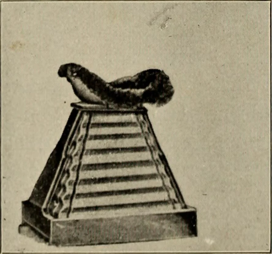 An illustration from Röntgentechniek : therapeutische beteekenis der "X" -stralen en der stoomen van hooge fréquentie, 1904, leaf 51