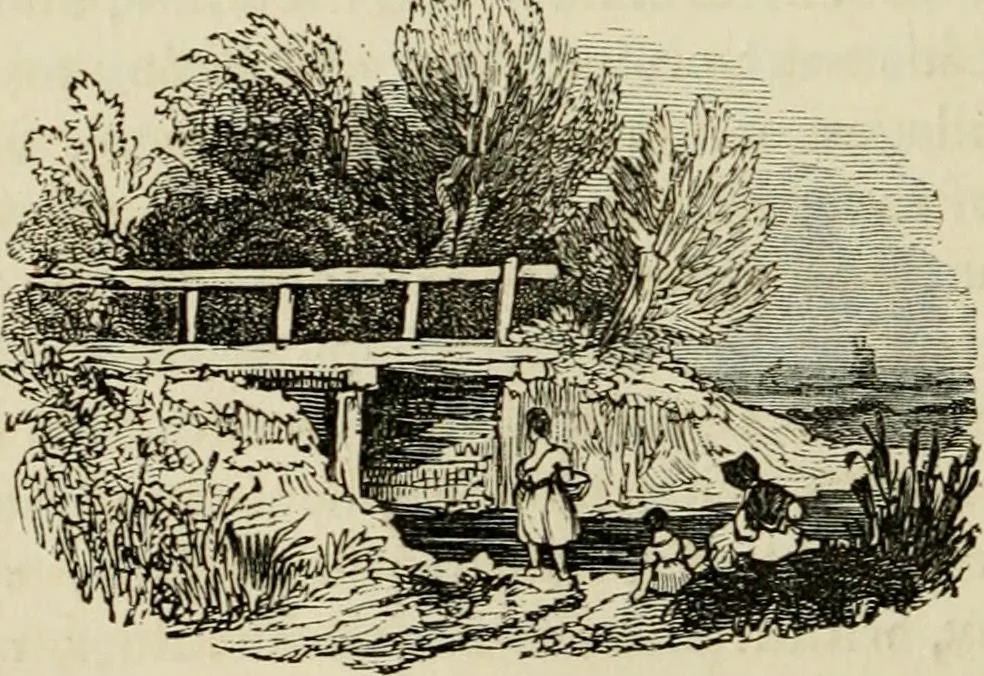 An illustration from The roads and railroads, vehicles, and modes of travelling, of ancient and modern countries; with accounts of bridges, tunnels, and canals, in various parts of the world .., 1839, leaf 109