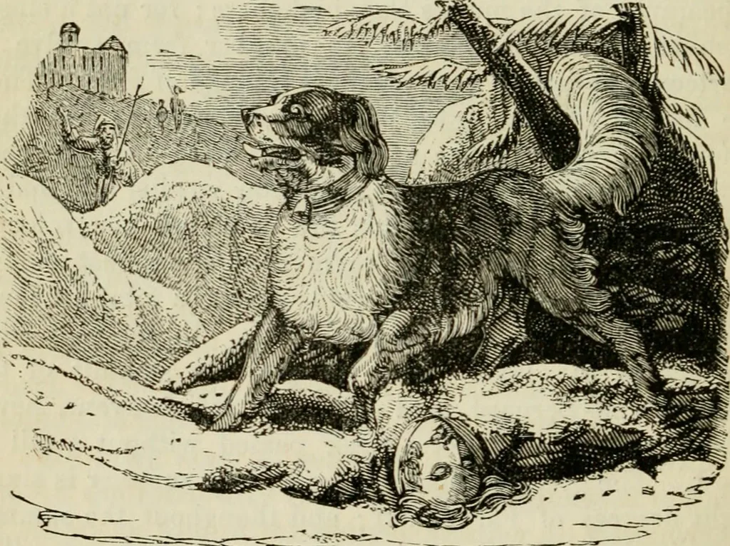An illustration from The roads and railroads, vehicles, and modes of travelling, of ancient and modern countries; with accounts of bridges, tunnels, and canals, in various parts of the world .., 1839, leaf 223
