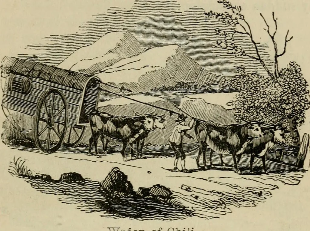 An illustration from The roads and railroads, vehicles, and modes of travelling, of ancient and modern countries; with accounts of bridges, tunnels, and canals, in various parts of the world .., 1839, leaf 246