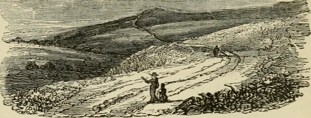 An illustration from The roads and railroads, vehicles, and modes of travelling, of ancient and modern countries; with accounts of bridges, tunnels, and canals, in various parts of the world .., 1839, leaf 59