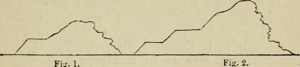 An illustration from The roads and railroads, vehicles, and modes of travelling, of ancient and modern countries; with accounts of bridges, tunnels, and canals, in various parts of the world .., 1839, leaf 70
