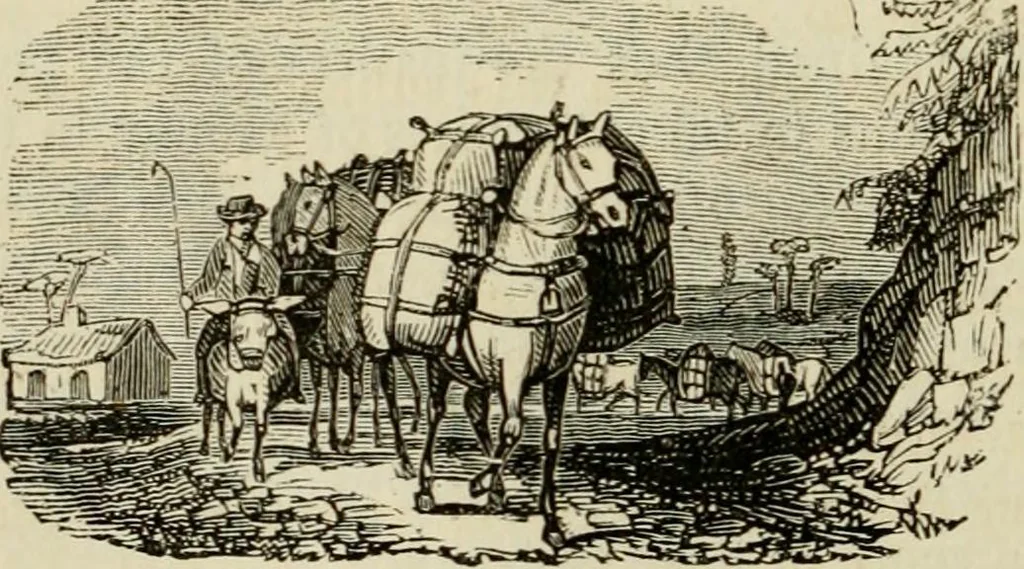 An illustration from The roads and railroads, vehicles, and modes of travelling, of ancient and modern countries; with accounts of bridges, tunnels, and canals, in various parts of the world .., 1839, leaf 81