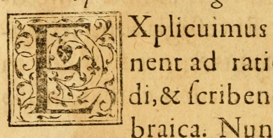 An illustration from Roberti Bellarmini Politiani, Societatis Jesu, S.R.E. Cardinalis, Institutiones linguæ Hebraicae : postremò recognitæ ac locupletatæ, 1619, leaf 62