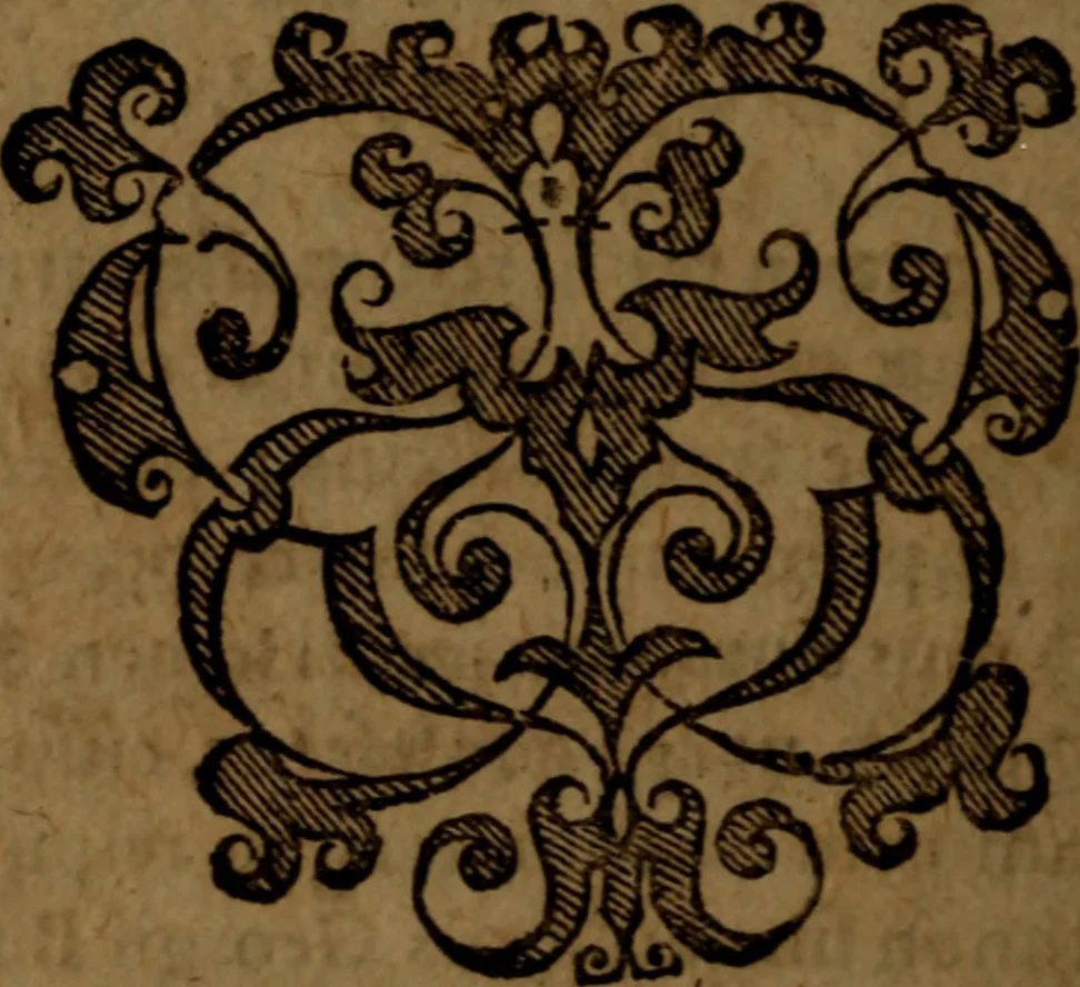 An illustration from Roberti Rolloci Scoti in utramq. Epistolam Pauli Apostoli ad Thessalonicenses commentarius ; nec non ejusdem authoris analysis epistolae Pauli ad Philemonem, 1601, leaf 5
