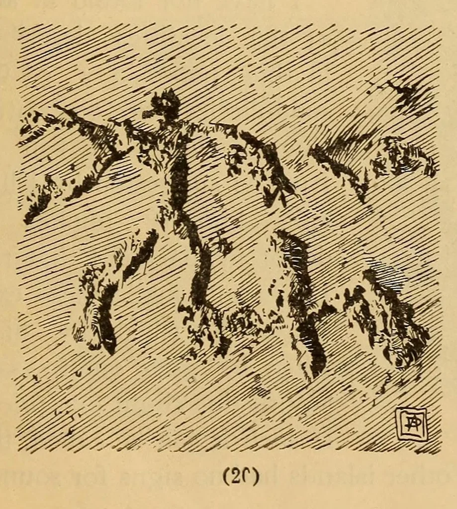 An illustration from Rock carvings of Hawaii; some possible traces of pre-historic Hawaiians, 1904, leaf 17