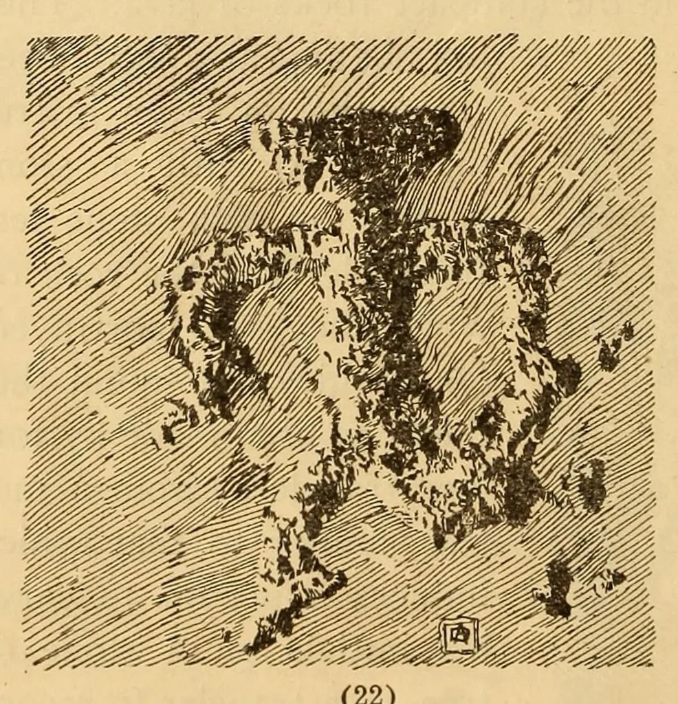 An illustration from Rock carvings of Hawaii; some possible traces of pre-historic Hawaiians, 1904, leaf 18