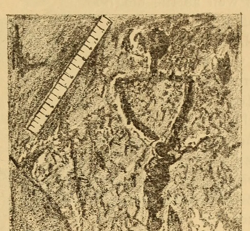 An illustration from Rock carvings of Hawaii; some possible traces of pre-historic Hawaiians, 1904, leaf 9