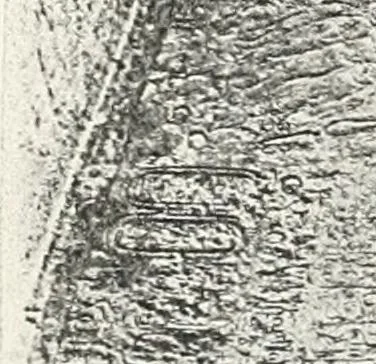 An illustration from The rock tombs of El Amarna, 1903, leaf 136