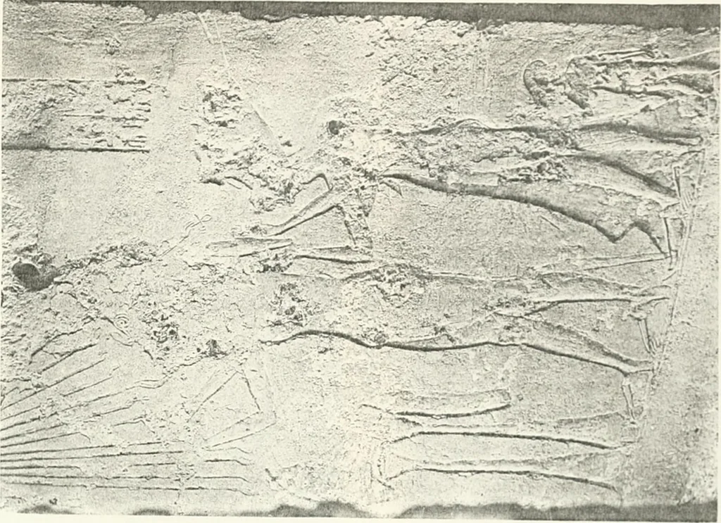 An illustration from The rock tombs of El Amarna, 1903, leaf 78
