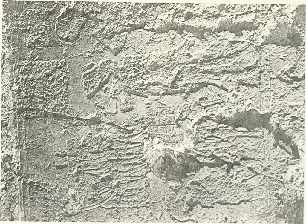 An illustration from The rock tombs of El Amarna, 1903, leaf 78