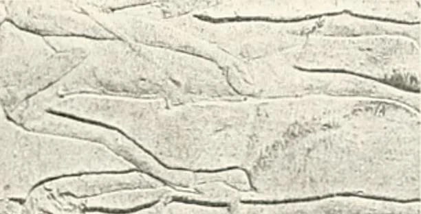 An illustration from The rock tombs of El Amarna, 1903, leaf 80