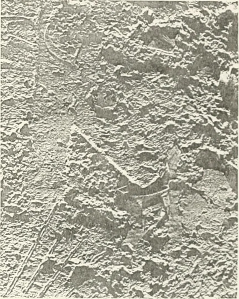 An illustration from The rock tombs of El Amarna, 1903, leaf 80