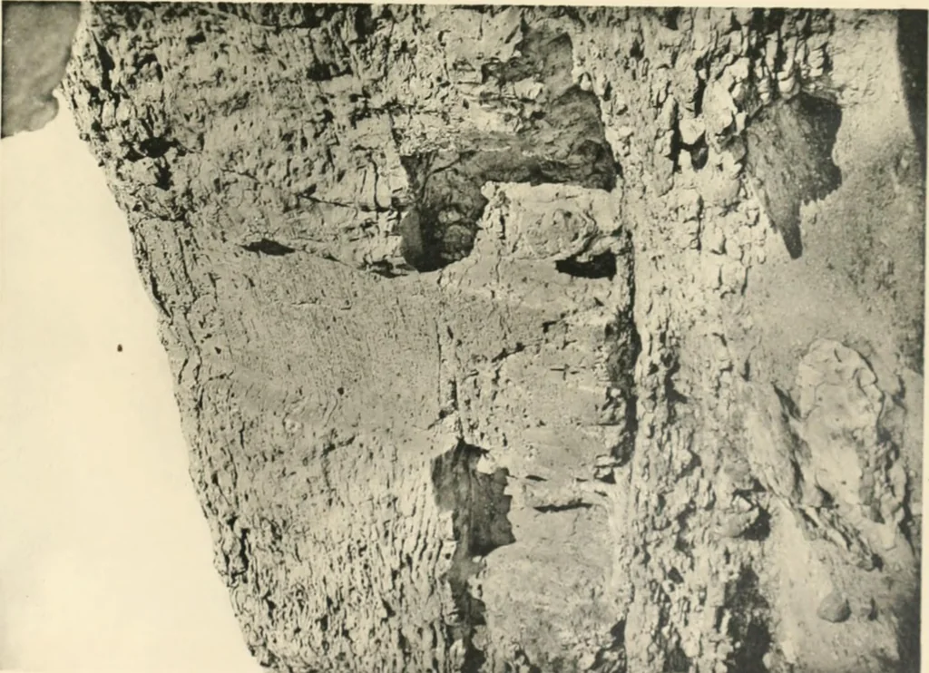 An illustration from The rock tombs of El Amarna, 1903, leaf 144