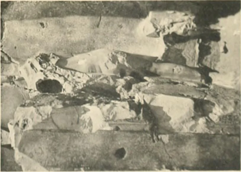 An illustration from The rock tombs of El Amarna, 1903, leaf 158