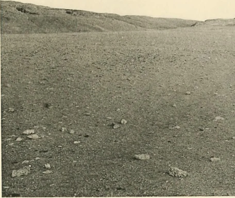 An illustration from The rock tombs of El Amarna, 1903, leaf 94